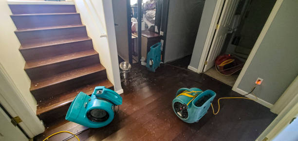 Carpet water damage restoration in Whitmore Village, HI