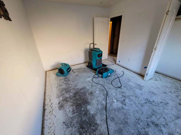 Best Flood damage cleanup  in Wtmore Village, HI