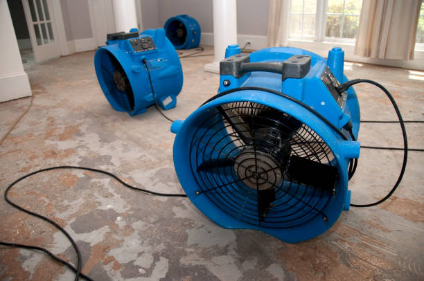 Best Water damage restoration experts  in Wtmore Village, HI