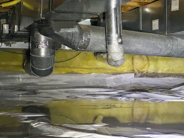 Best Water damage cleanup near me  in Wtmore Village, HI