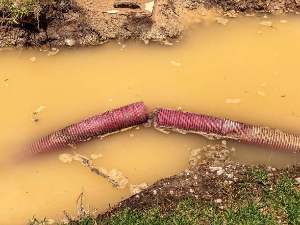 Best Water damage restoration process  in Wtmore Village, HI