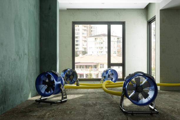 Best Water damage restoration mold remediation  in Wtmore Village, HI
