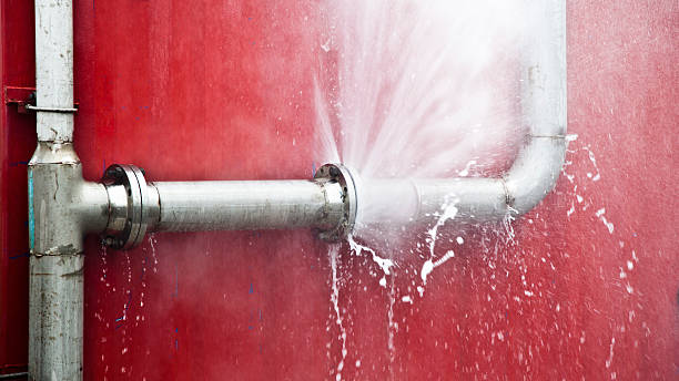 Best 24/7 water damage repair  in Wtmore Village, HI